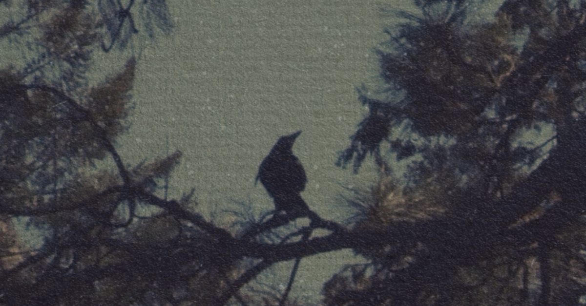 Lire la suite à propos de l’article 01